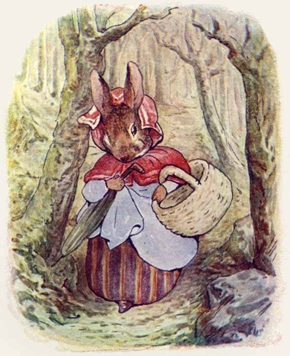 Mrs. Rabbit walking through the wood