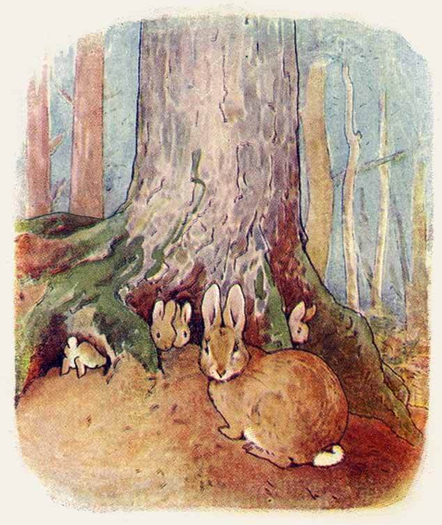 Four little rabbits under a fir tree